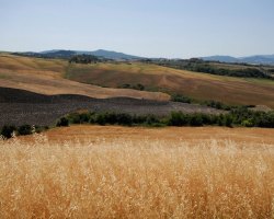 Il panorama - Agriturismo Mannaioni